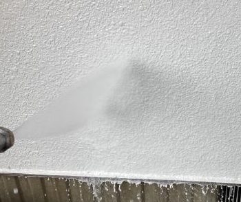 外壁のバイオ洗浄