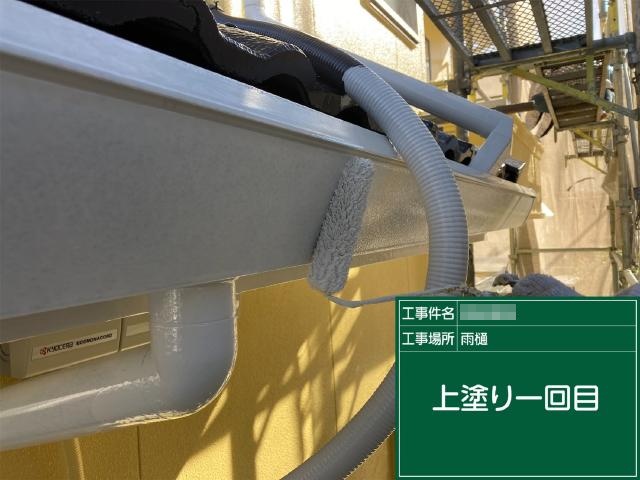 軒樋の1回目の上塗り