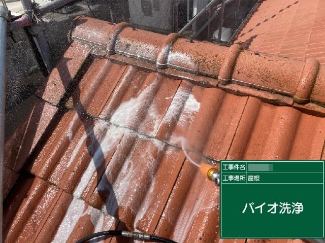 洗浄液を加えた屋根のバイオ洗浄