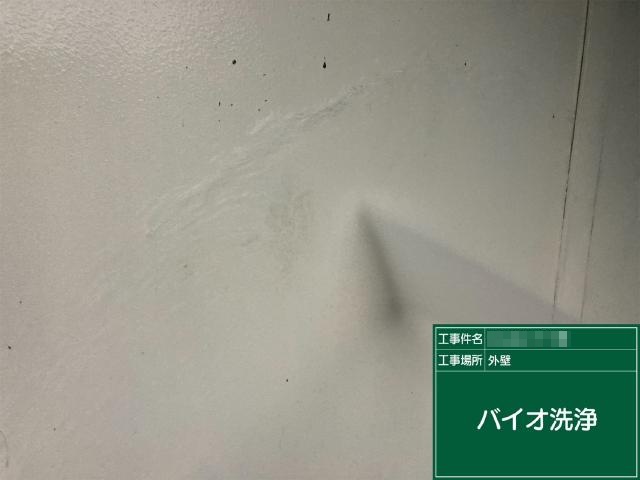 バイオ洗浄の施工状況