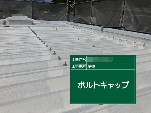 屋根へのボルトキャップ設置
