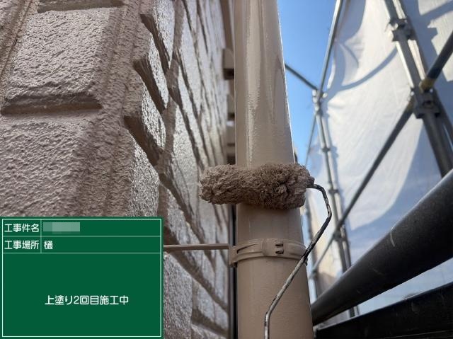樋の2回目の上塗り。外壁色で仕上げます