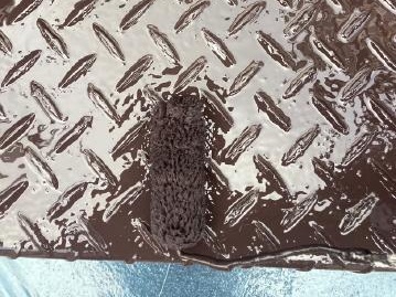 錆が目立っていた部分を上塗りで仕上げています