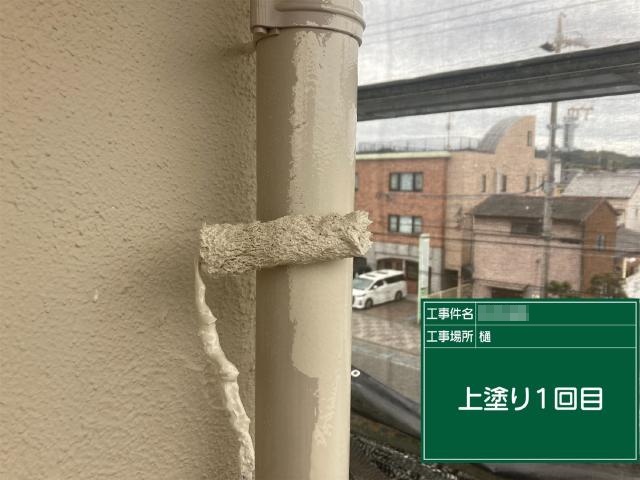 樋の1回目の上塗り