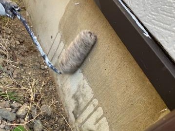 基礎の下塗り
