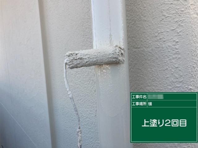 樋の2回目の上塗り