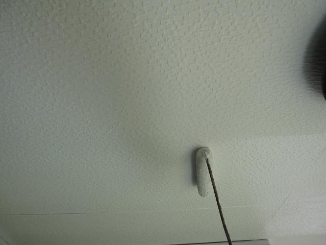 軒天の2回目の上塗り
