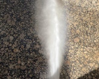 外壁のバイオ洗浄