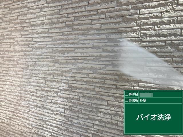 外壁のバイオ洗浄