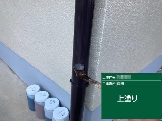 樋の2回目の上塗り